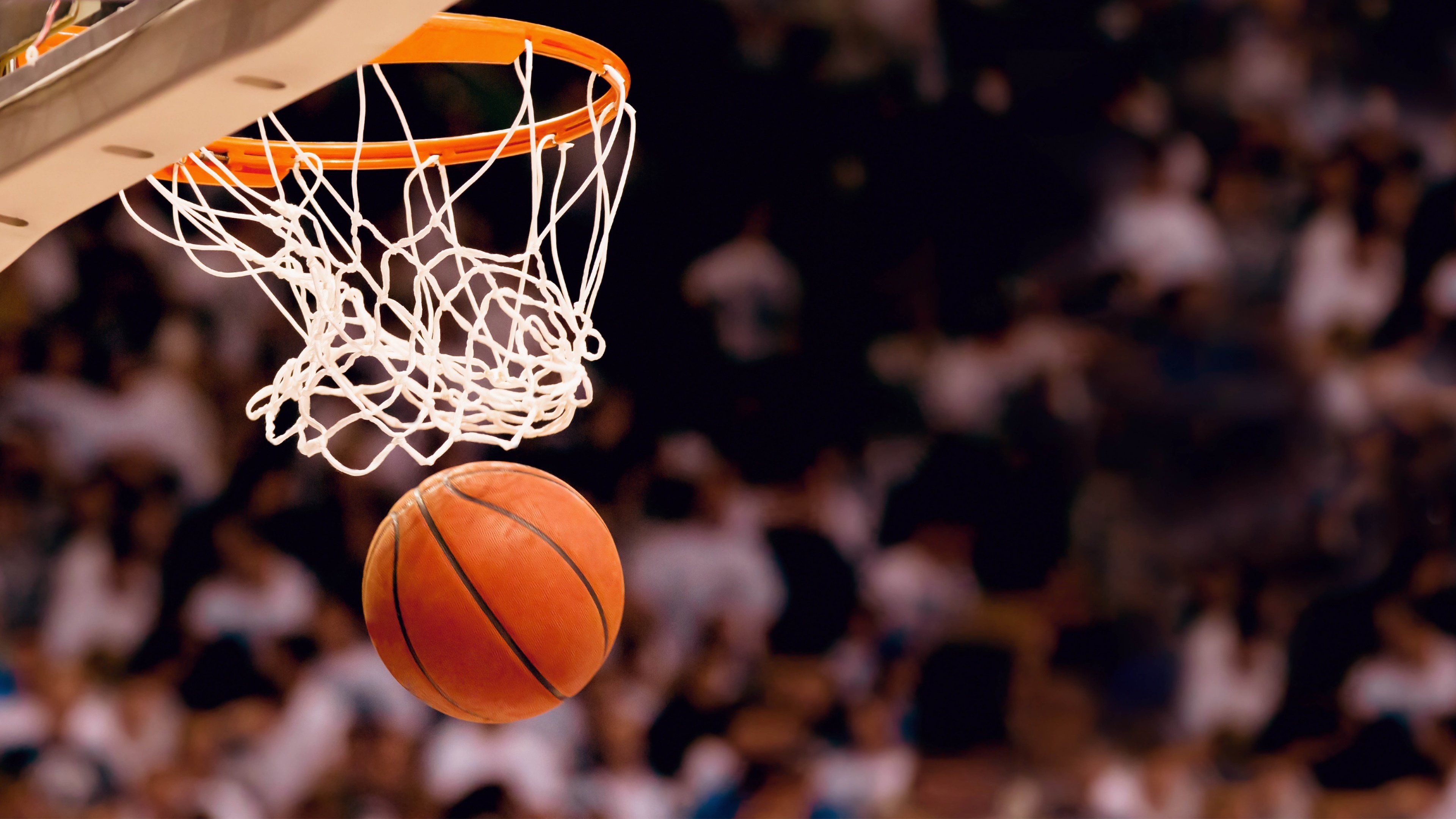 当辽宁广东的肉搏战撞上拉文的纪录夜，CBA和NBA的内卷终于同步了